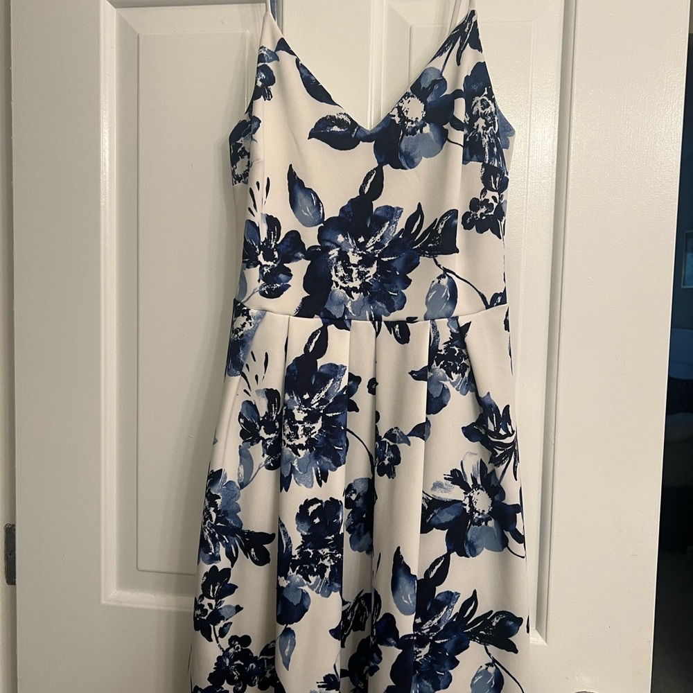 Floral Blue and White Dress